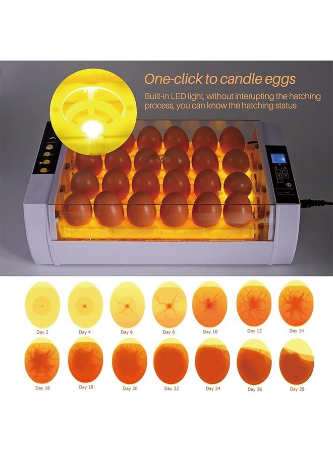 24 Eggs Incubators for Hatching Eggs Digital Poultry Hatcher Machine with Automatic Turner, LED Candler, Turning & Temperature Control for Chicken Duck Bird Quail