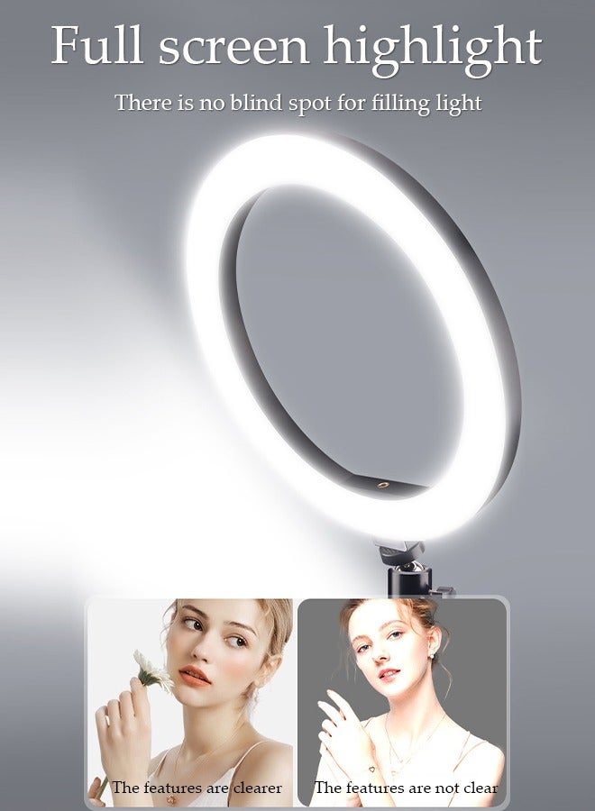 10 inch Selfie Ring Light with 170cm Floor Tripod and Desk Stand, Dimmable LED Circle Light with Phone Holder, for Makeup, Photo Selfie, Video Recording, Live Streaming