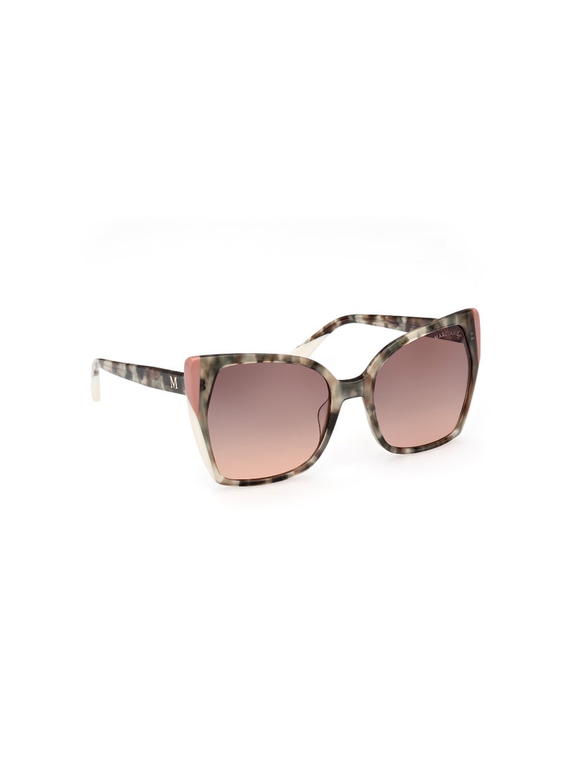 Women's UV Protection Butterfly Shape Acetate Sunglasses GM083195F58 - Lens Size: 58 Mm - Light Green