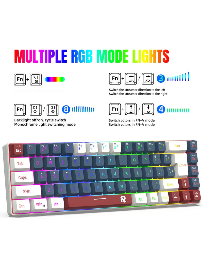 ROCK POW 60% Wired Gaming Keyboard RGB Backlit Mini Keyboard Waterproof Small Ultra-Compact 68 Keys Keyboard for PC/Mac Gamer Typist Travel Easy to Carry on Business Trip WBR