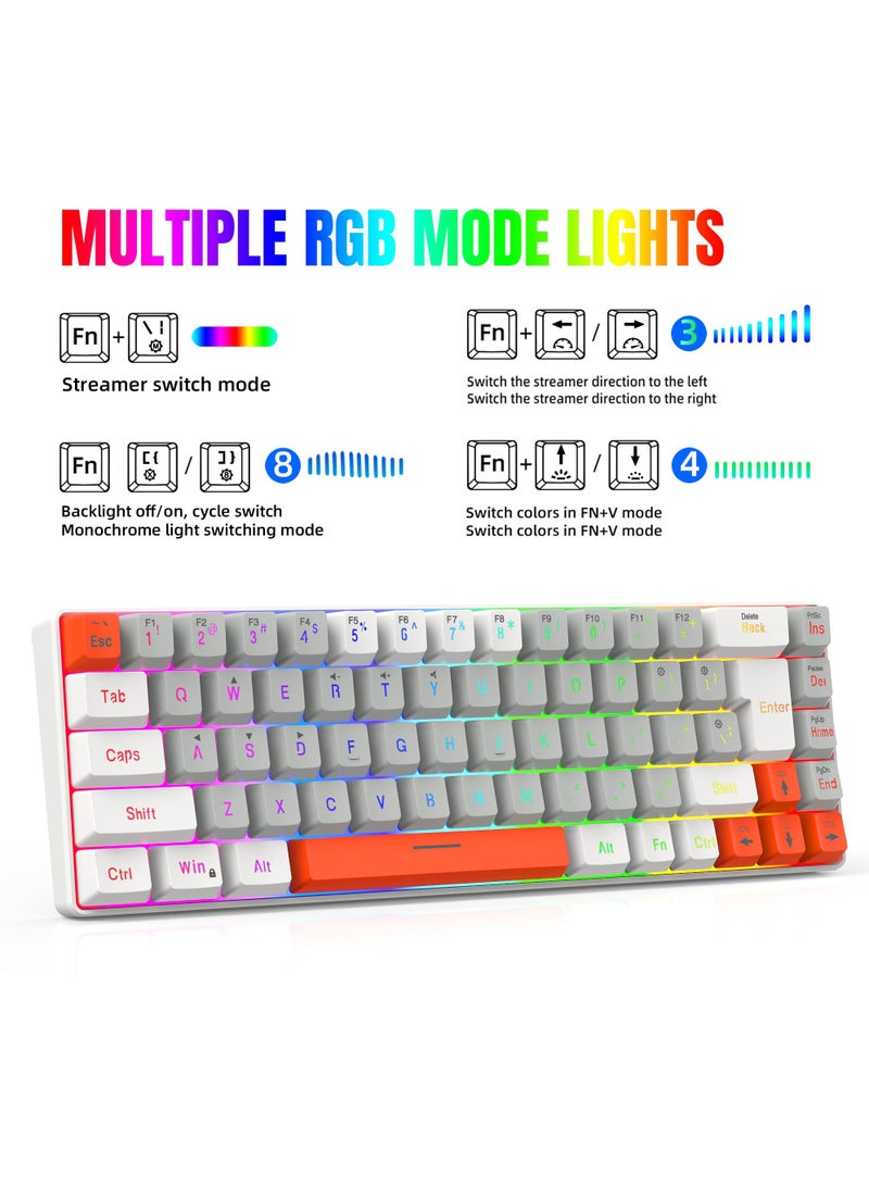 ROCK POW 60% Wired Gaming Keyboard RGB Backlit Mini Keyboard Waterproof Small Ultra-Compact 68 Keys Keyboard for PC/Mac Gamer Typist Travel Easy to Carry on Business Trip WGO