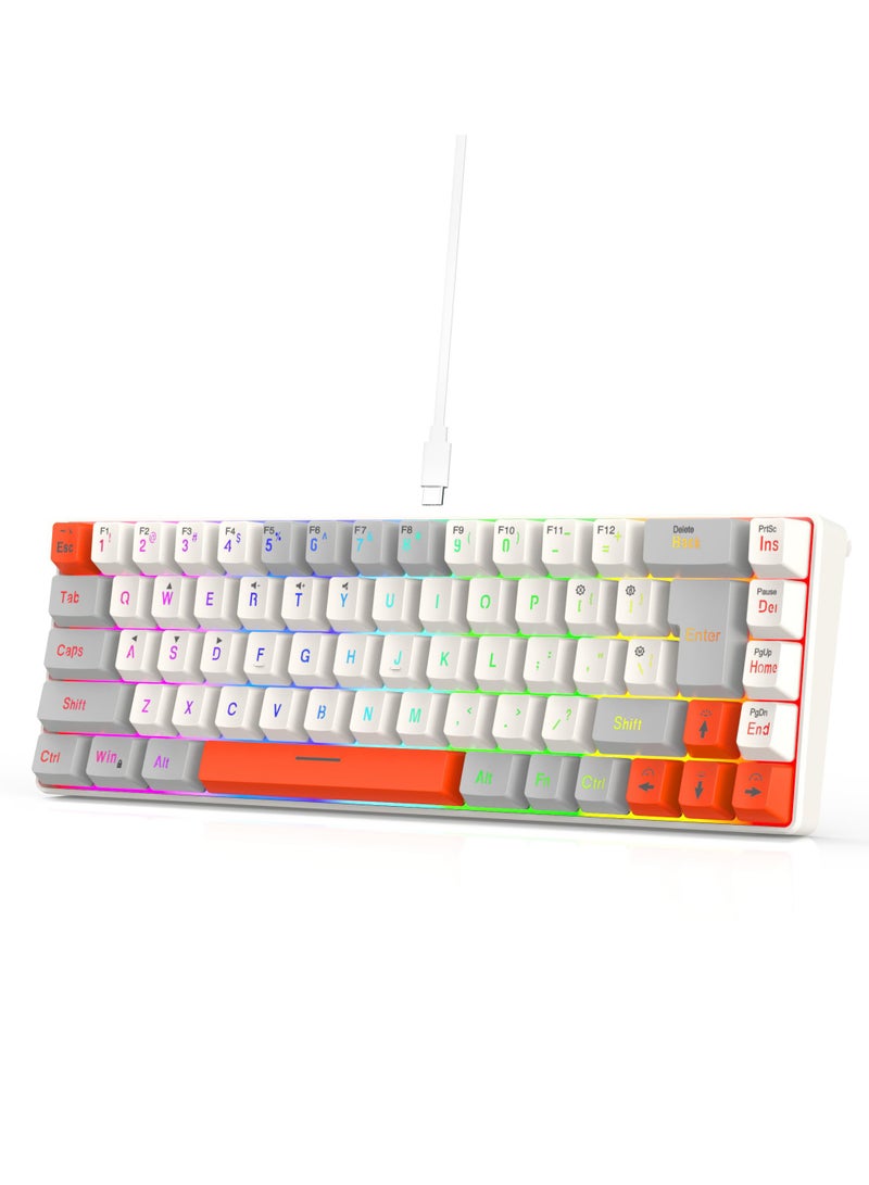 ROCK POW 60% Wired Gaming Keyboard RGB Backlit Mini Keyboard Waterproof Small Ultra-Compact 68 Keys Keyboard for PC/Mac Gamer Typist Travel Easy to Carry on Business Trip GWO