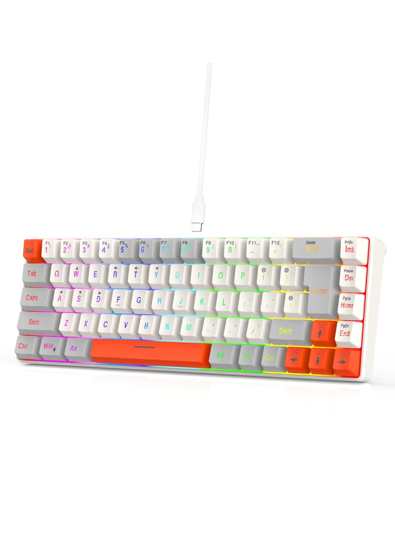 ROCK POW 60% Wired Gaming Keyboard RGB Backlit Mini Keyboard Waterproof Small Ultra-Compact 68 Keys Keyboard for PC/Mac Gamer Typist Travel Easy to Carry on Business Trip GWO