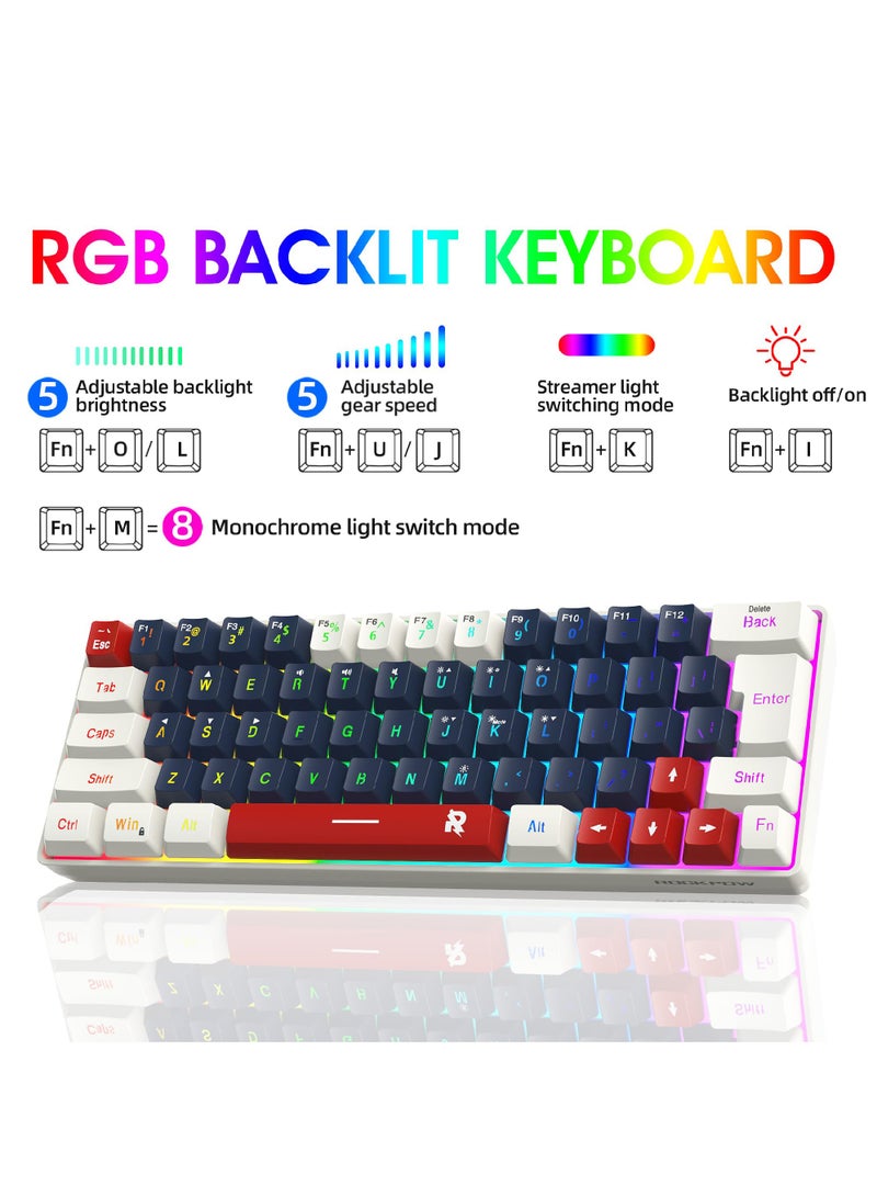 60% Wired Gaming Keyboard, RGB Backlit Ultra-Compact Mini Keyboard, Waterproof Small Compact 63 Keys Keyboard for PC/Mac Gamer, Typist, Travel, Easy to Carry on Business Trip WBR