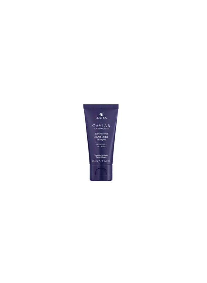 Alterna Replenishing Moisture Shampoo 40ml