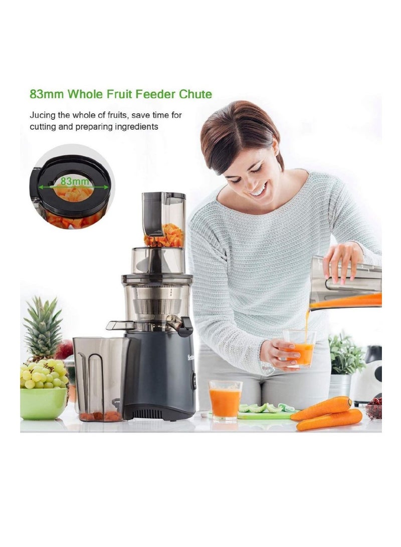 Slow Masticating Juicer, Cold Press Juicer Machine, Easy to Clean, Higher Yield, Drier Pulp, Quiet Motor