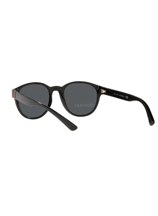 Men Sunglasses - PH4176 5523/87 51 - Lens Size: 51 millimeter