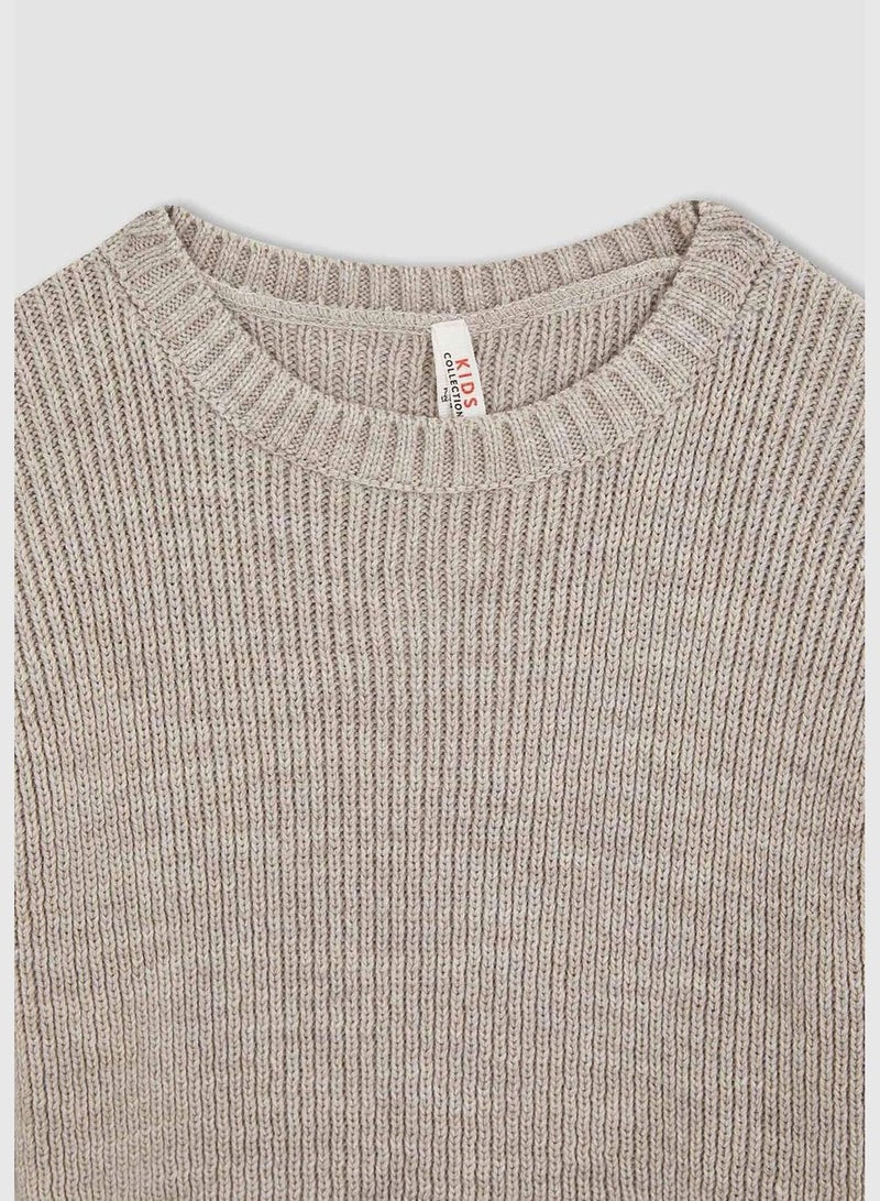 Regular Fit Long Sleeve Crop Jumper