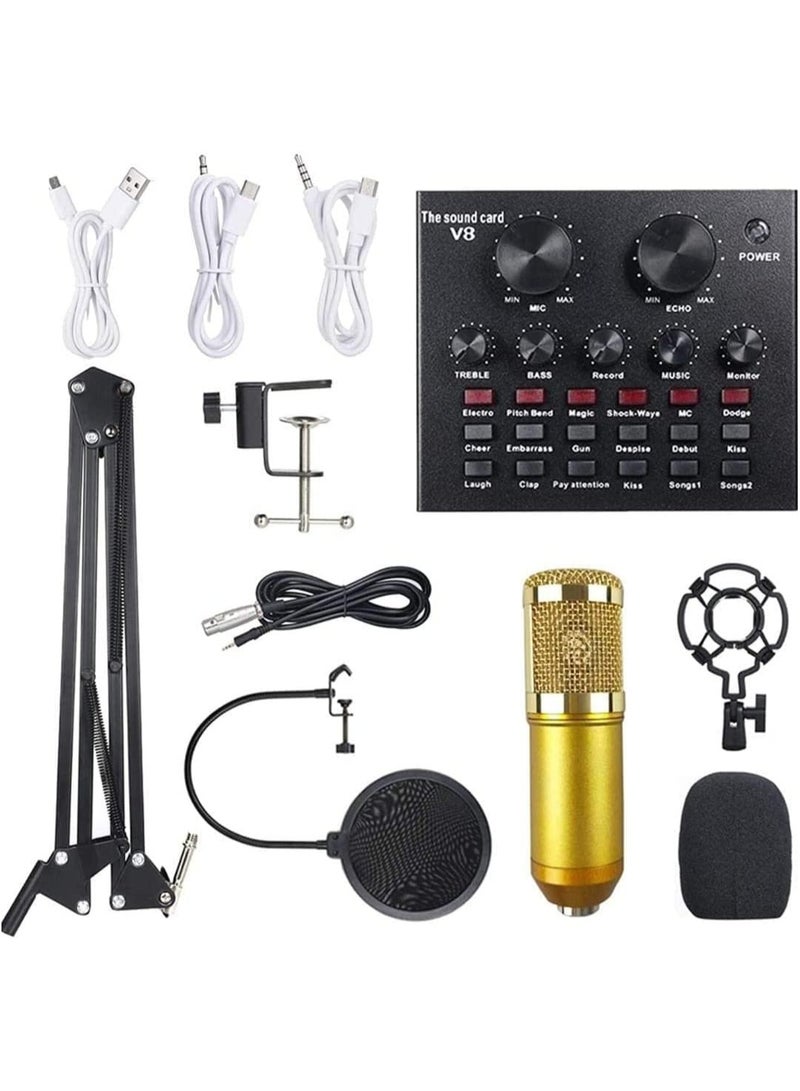 Professional Condenser Microphone Bundle Mic Kit with V8 Audio Sound Card And Metal Stand For Live Streaming Recording Broadcasting