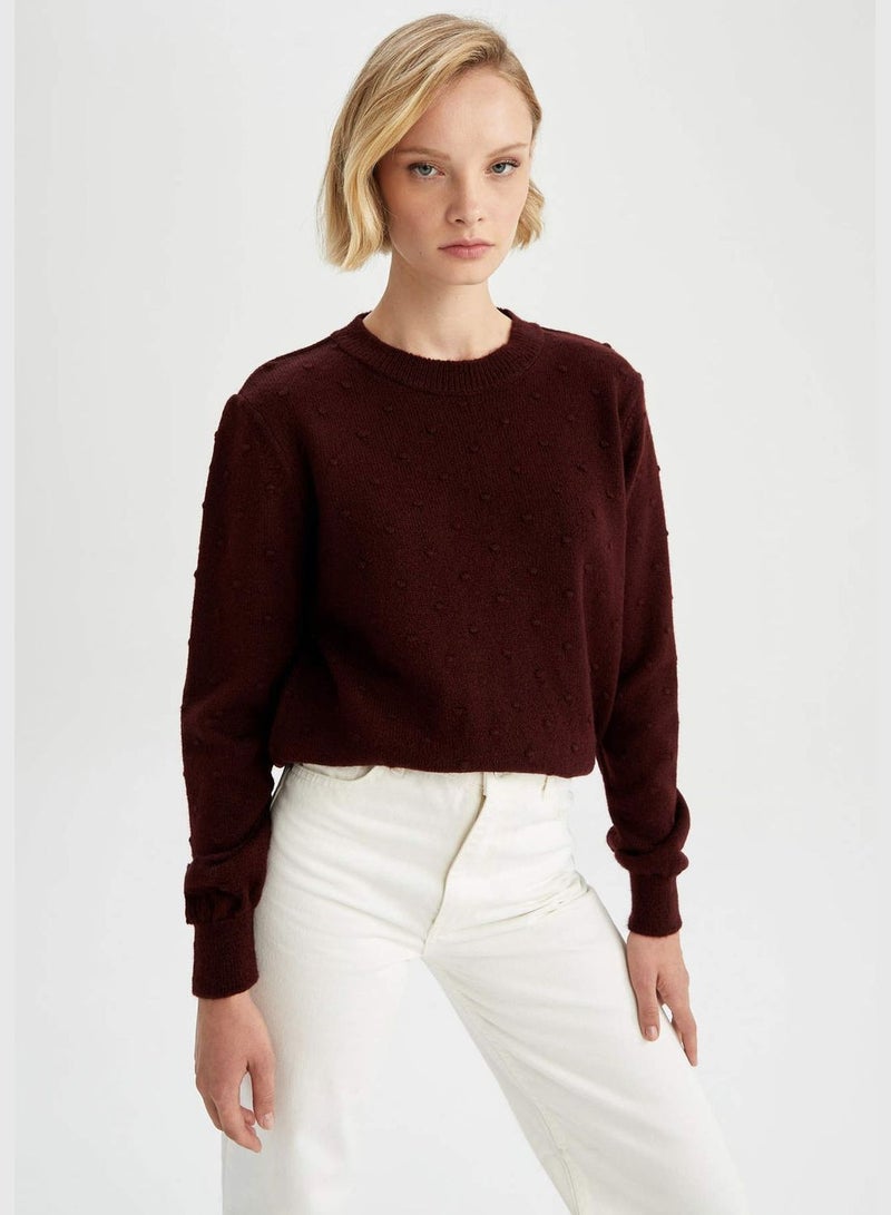 Woman Crew Neck Long Sleeve Tricot Pullover