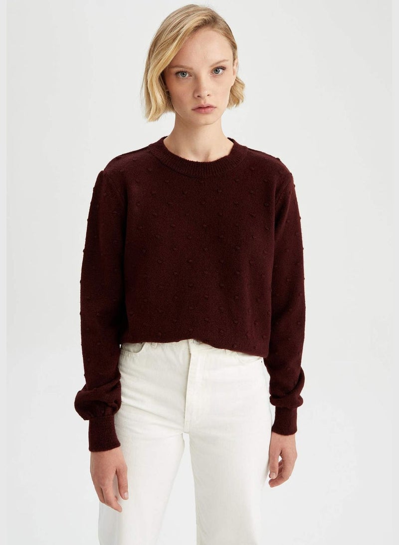 Woman Crew Neck Long Sleeve Tricot Pullover