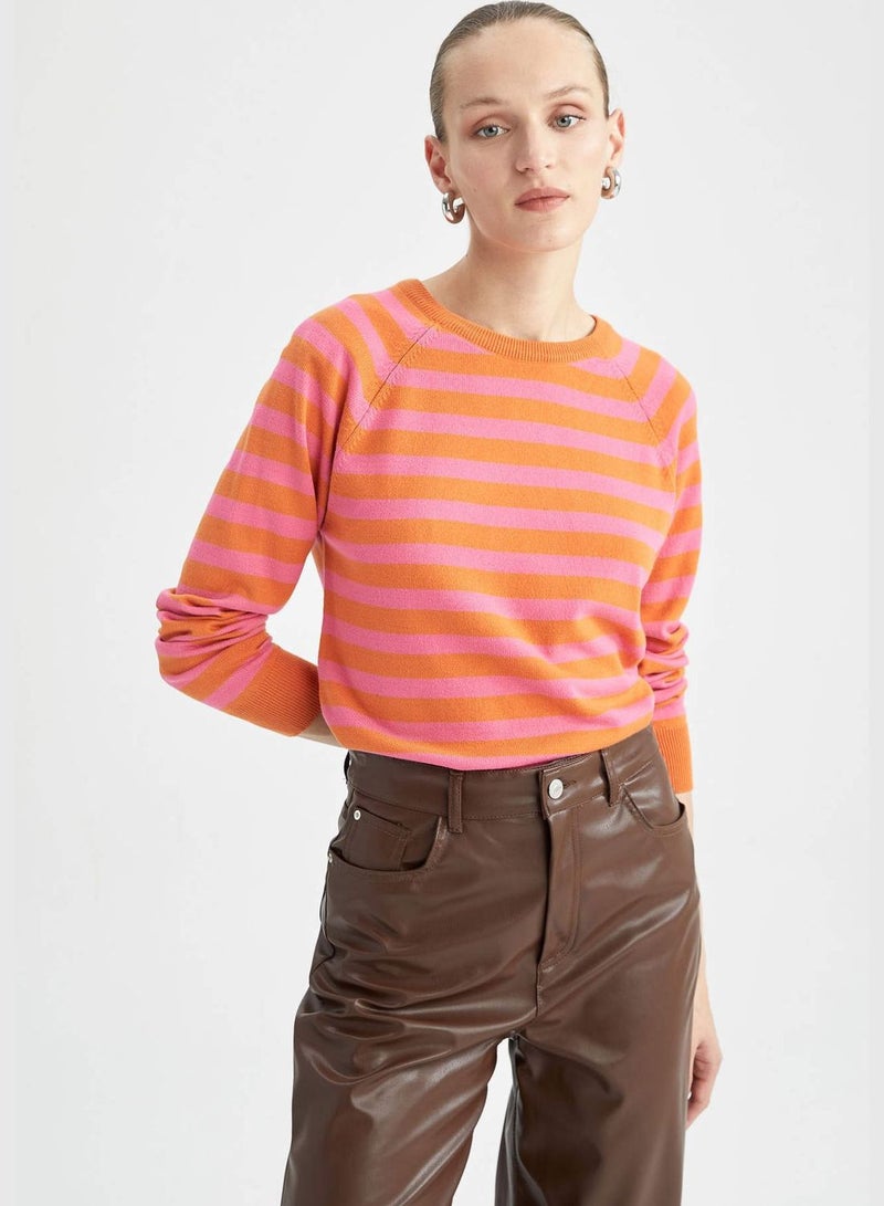 Regular Fit Long Sleeve Stripe Jumper