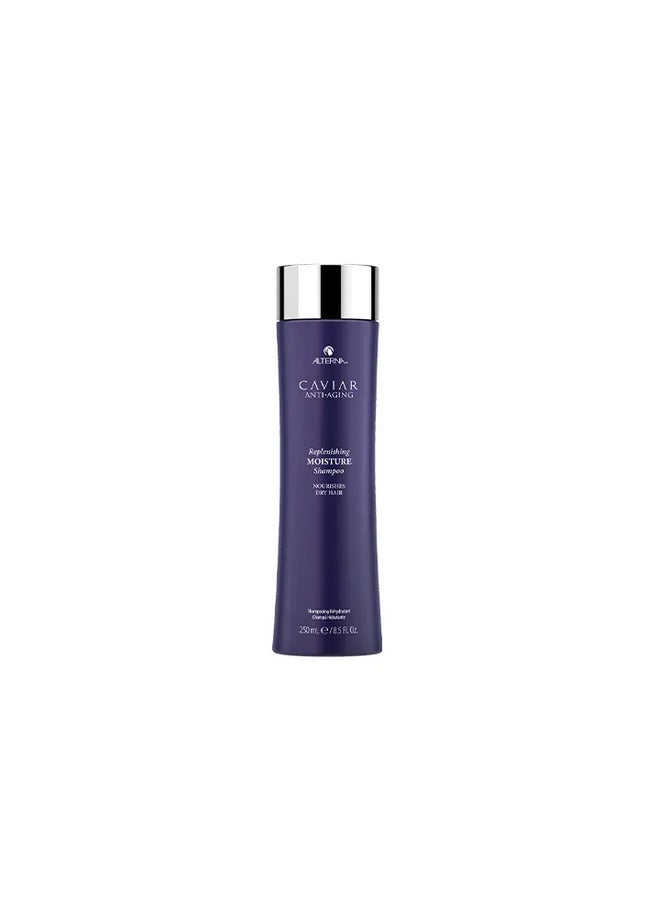 Alterna Replenishing Moisture Shampoo 250ml