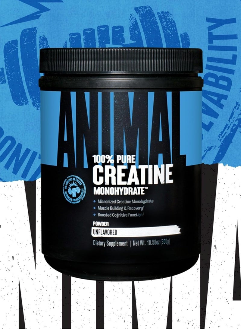 Animal Micronized Creatine – Delay Muscle Fatigue, Enhance Endurance, Boost Strength – Creatine Monohydrate Supplement for Men & Women – 300g