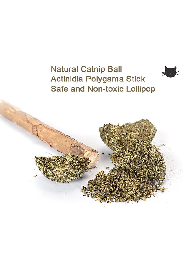 Ball Catnip Stick Chew Toy Green/Brown 15grams