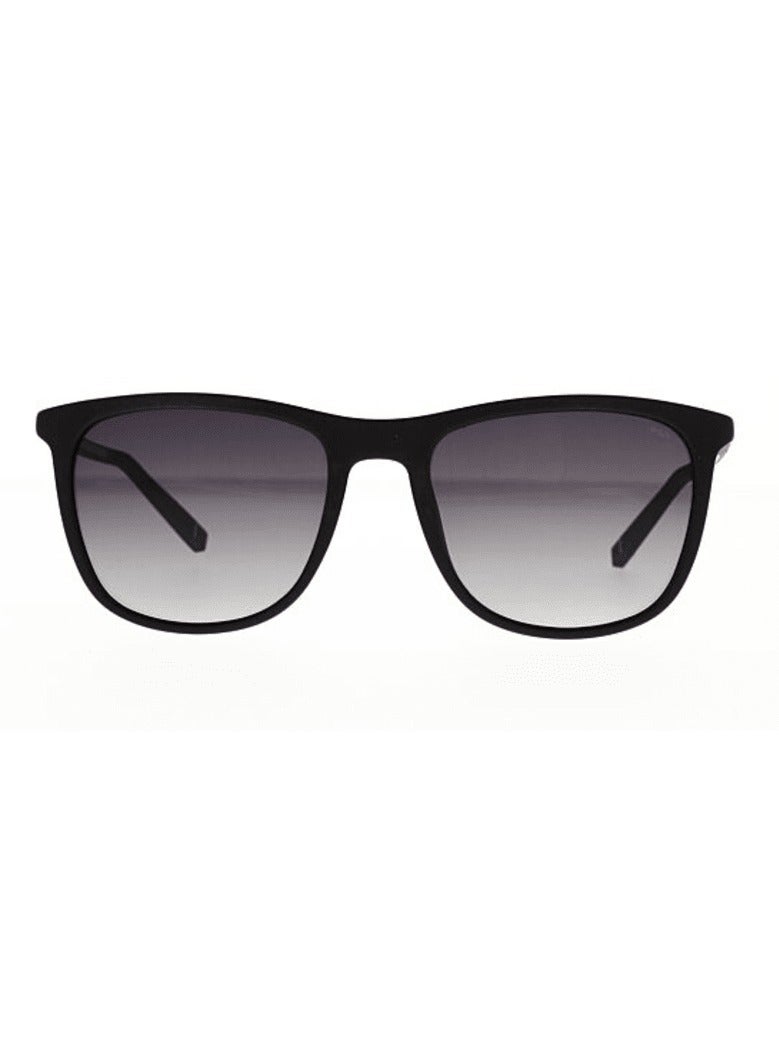 Fila SFI095 507P 55 Men's Sunglasses