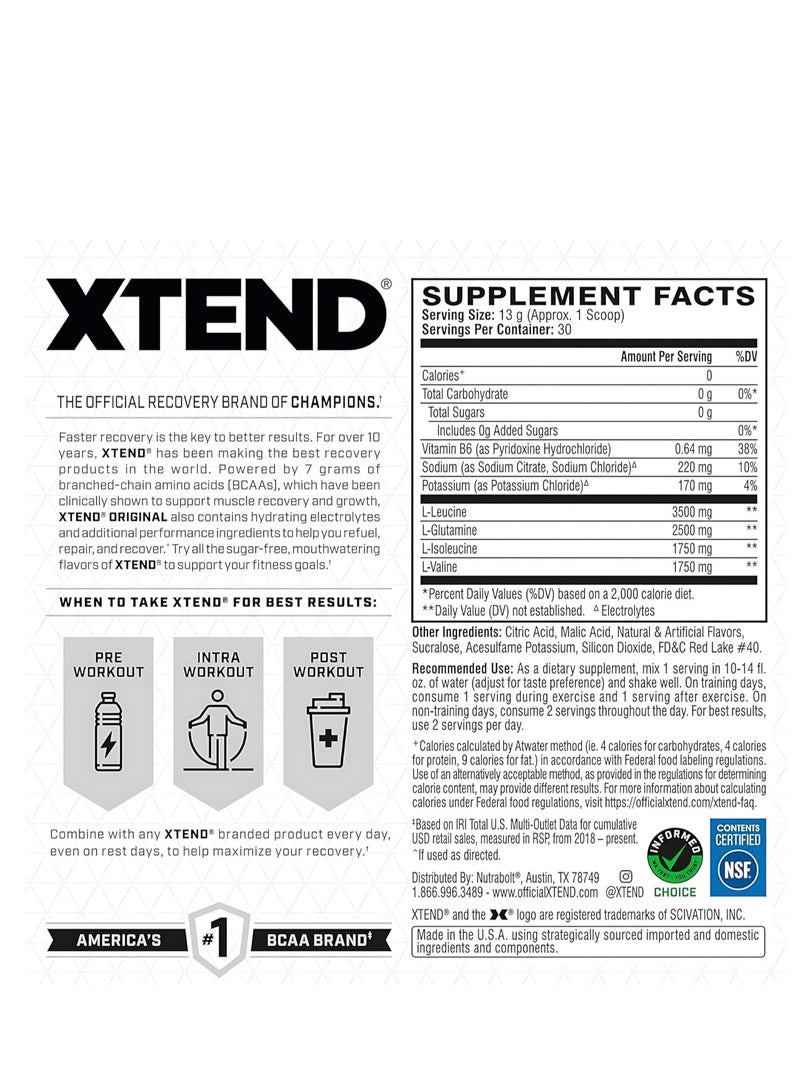 Xtend Original BCAA Powder, Electrolytes, Strawberry Kiwi Splash, 30 Servings