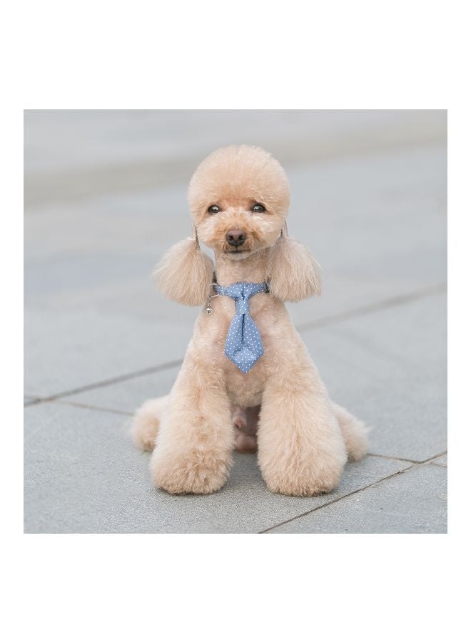 Cloth Art Dog Collar With Belt Blue/White