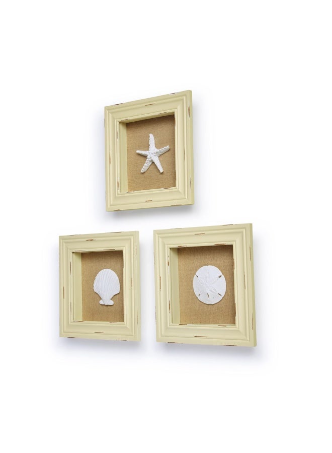 Tumbler HomeBeachy Set of 3 Shell Shabby Chic Shadow Boxes- Creamy Off White Frame 7 x 7 - Starfish Sand Dollar and Clam Shell Mounted on Fabric Background by