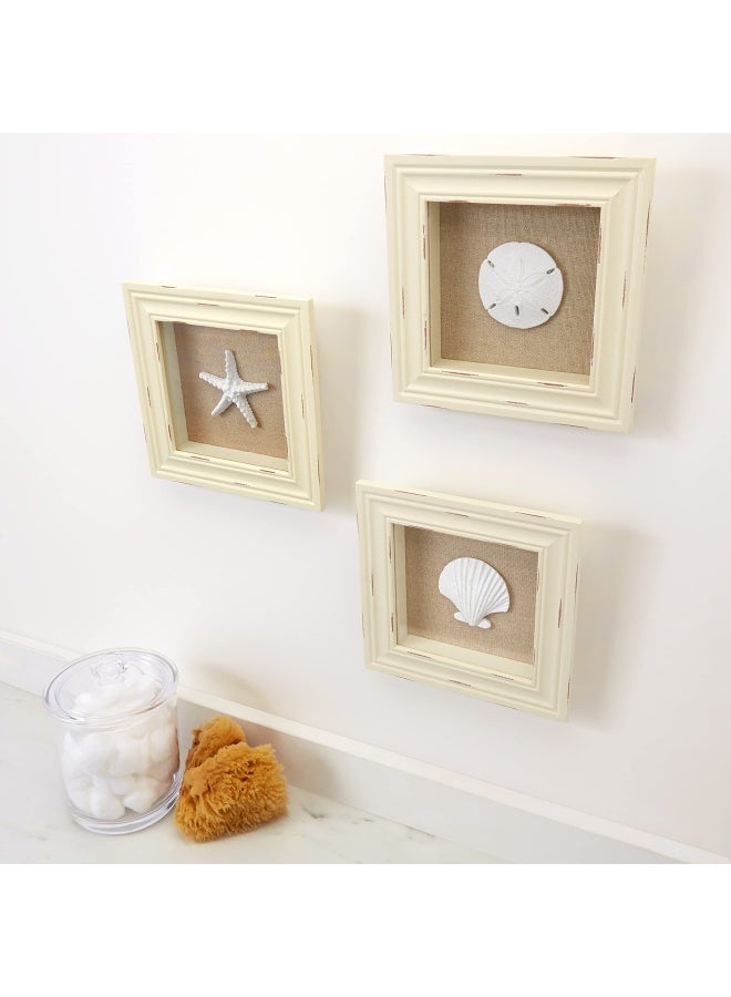 Tumbler HomeBeachy Set of 3 Shell Shabby Chic Shadow Boxes- Creamy Off White Frame 7 x 7 - Starfish Sand Dollar and Clam Shell Mounted on Fabric Background by