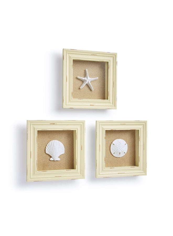 Tumbler HomeBeachy Set of 3 Shell Shabby Chic Shadow Boxes- Creamy Off White Frame 7 x 7 - Starfish Sand Dollar and Clam Shell Mounted on Fabric Background by