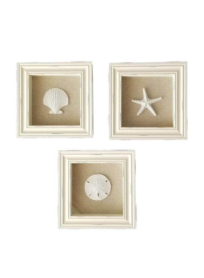 Tumbler HomeBeachy Set of 3 Shell Shabby Chic Shadow Boxes- Creamy Off White Frame 7 x 7 - Starfish Sand Dollar and Clam Shell Mounted on Fabric Background by