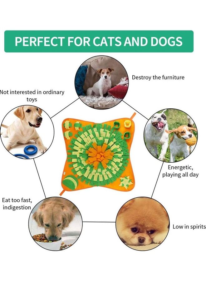 Pet Brain Games Snuffle Mat Multicolour
