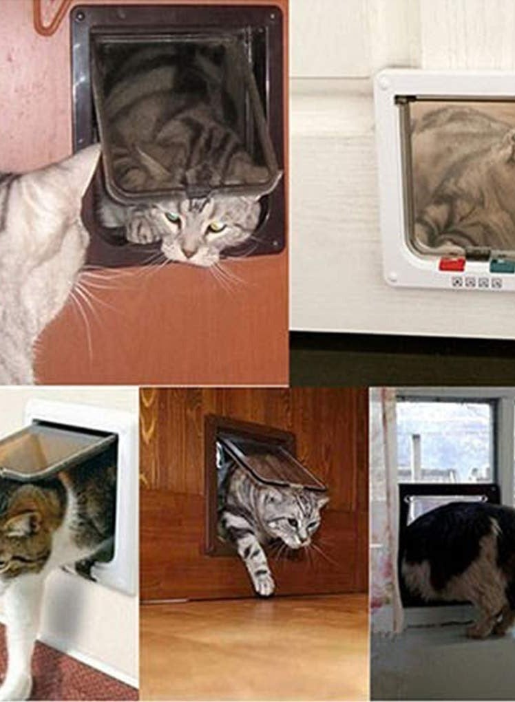 4 Way Locking Magnetic Cat Flap, Large Size, Pet Door For Cats And Large Dogs, Interior And Exterior Use, Easy Installation, Outer Size: 11