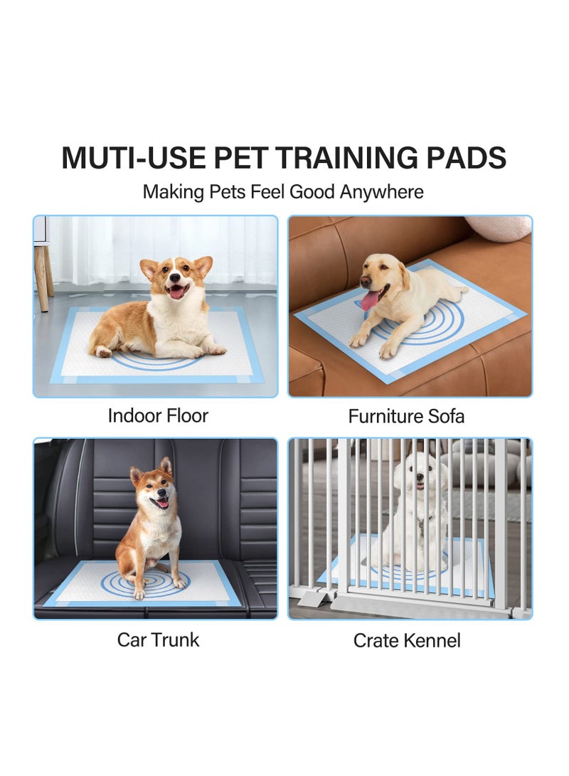 Puppy Pee Pads Large, Ultra Absorbent Leak-Proof & Quick Dry Dog Pee Pads, Thicken 5-Layer Quick Dry Training Pads, Thickened Tissue Paper, with Odor Eliminating for Dogs, Cats (L, 25 Count)