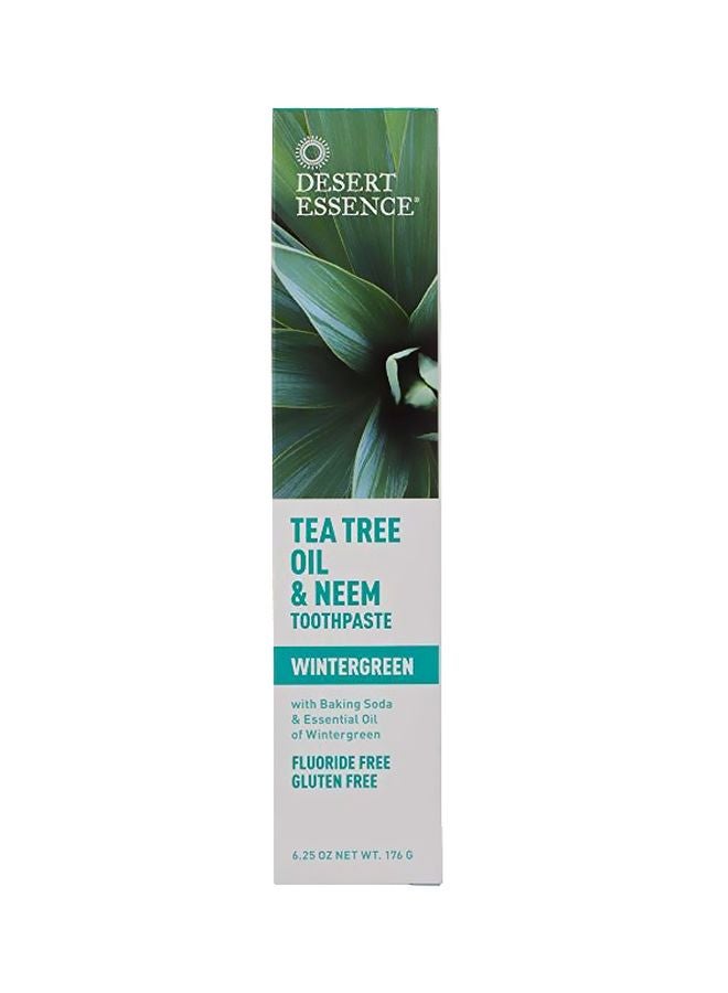 2-Piece Wintergreen Tea Tree Oil And Neem Toothpaste