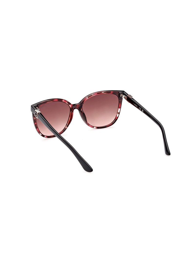 Sunglasses For Women GU786455T58