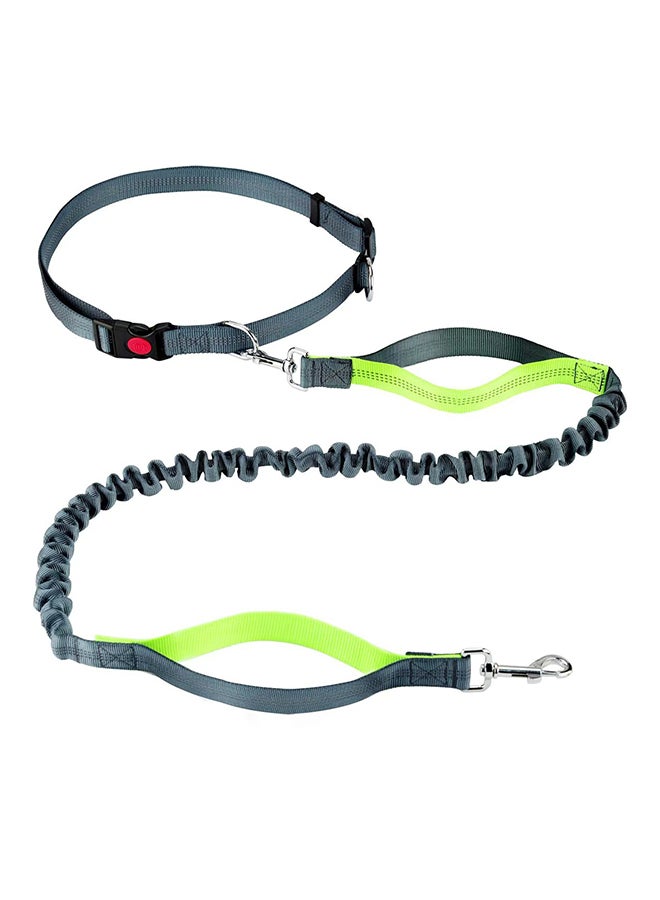 Adjustable Jogging Dog Leash Green/Black