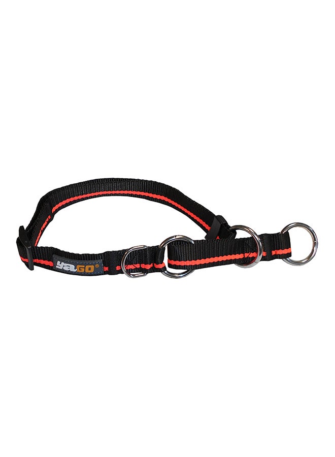 Pet Choke Collar Multicolour 31cm