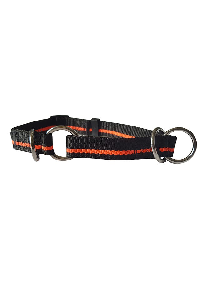 Pet Choke Collar Multicolour 31cm