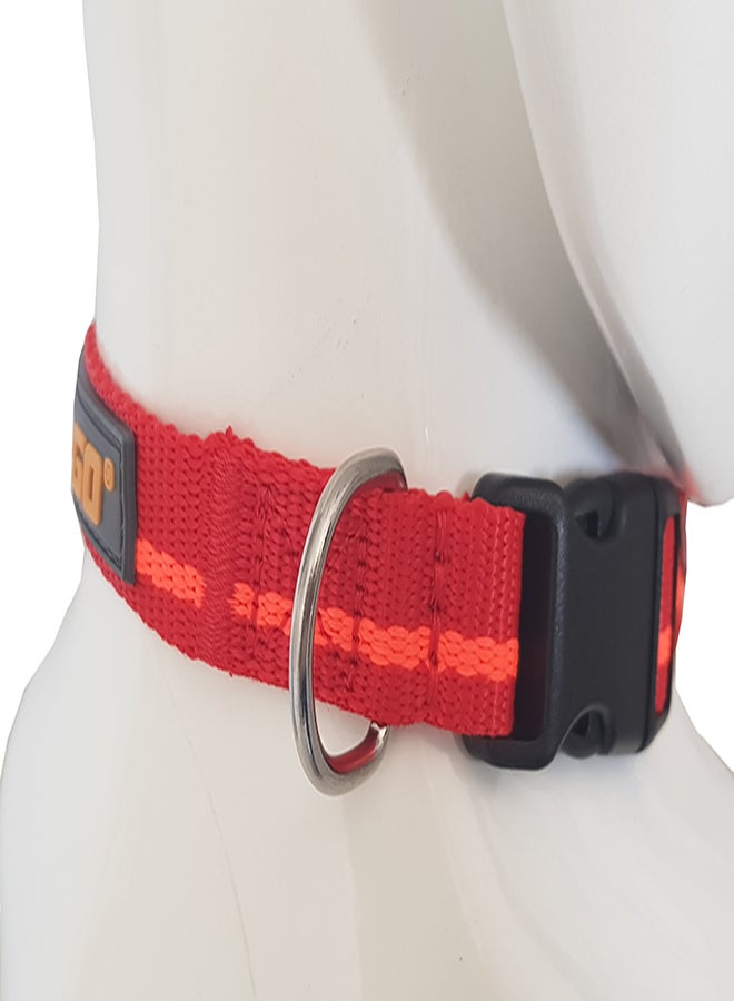 Nylon Collar Multicolour 30cm