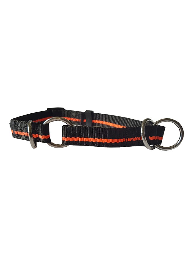 Nylon Half Choke Collar Multicolour Smallcm