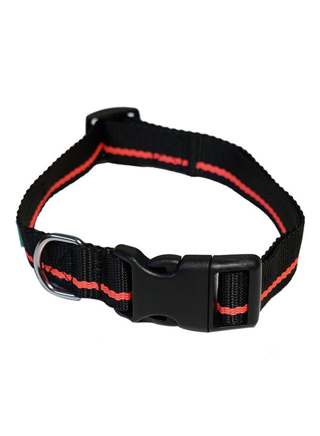 Nylon Pet Collar Multicolour Large