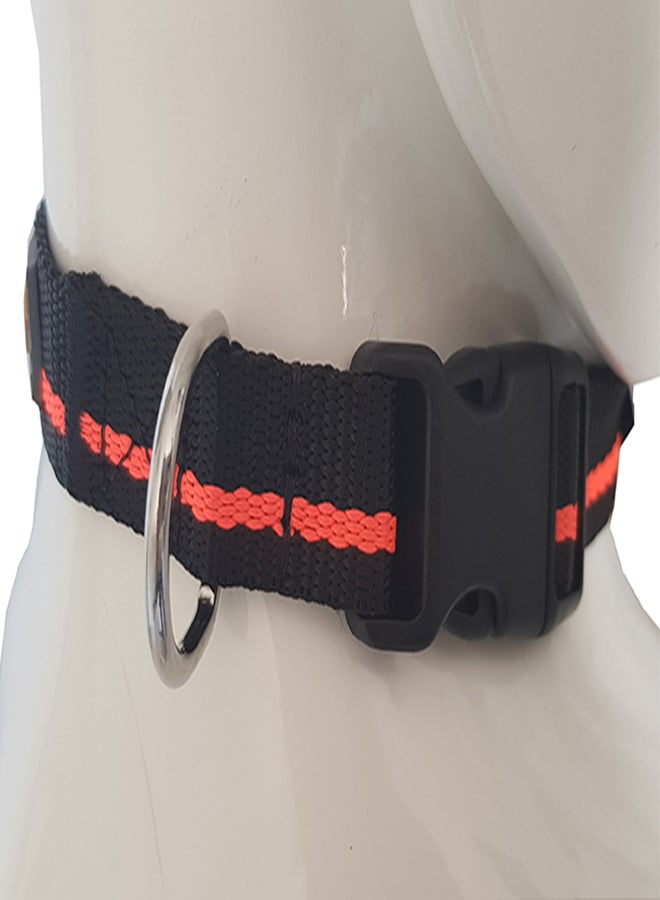 Nylon Pet Collar Multicolour Large