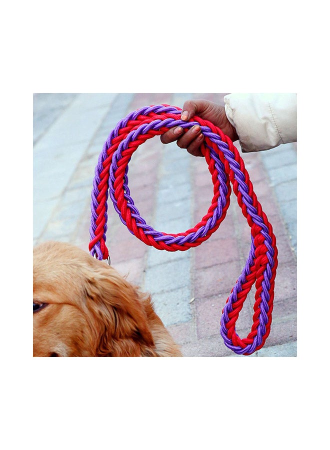 Heavy Duty Braided Dog Leashes And Collar Set Red/Blue