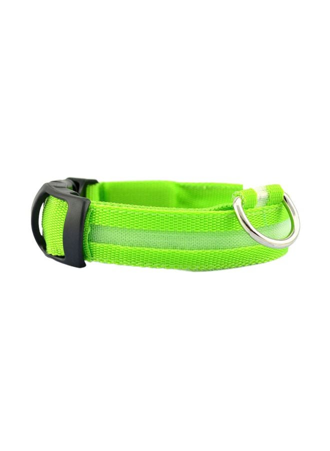 Polyester Led Collar Green