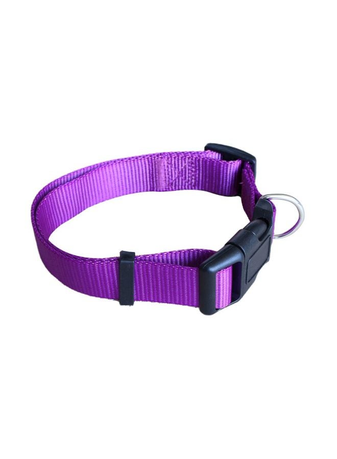 Nylon Pet Collar Purple