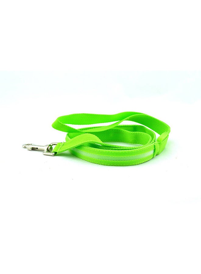 LED Traction Pet Leashes Green/Silver 60cm