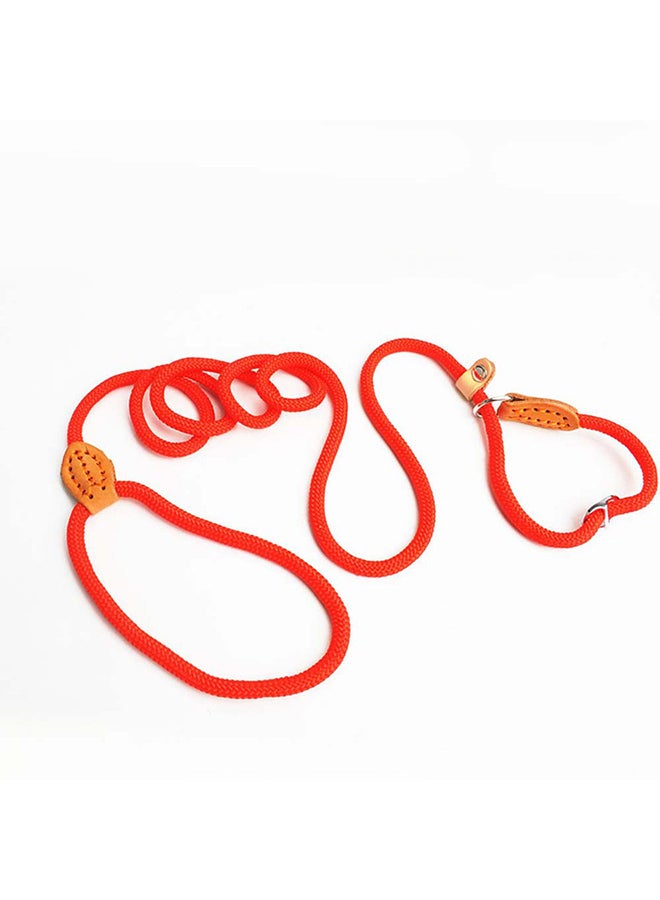 Mountain Climbing Pet  Leash Red