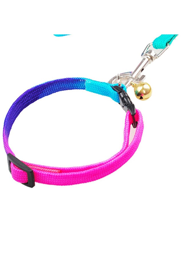 Colourful Pet Traction Collar With Leash Multicolour