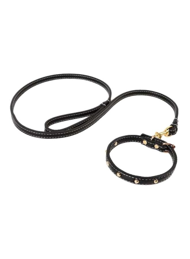 Dog Leash Black/Gold 120x1.5x0.4centimeter