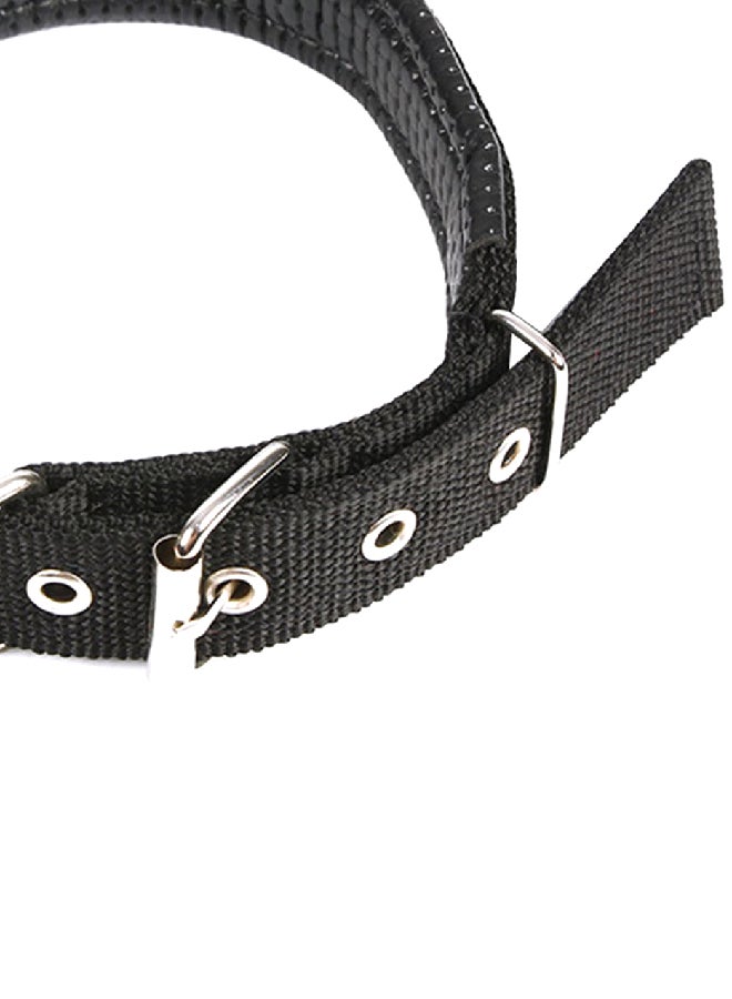 Foam Sponge Dog Collar Black 15x15x4cm