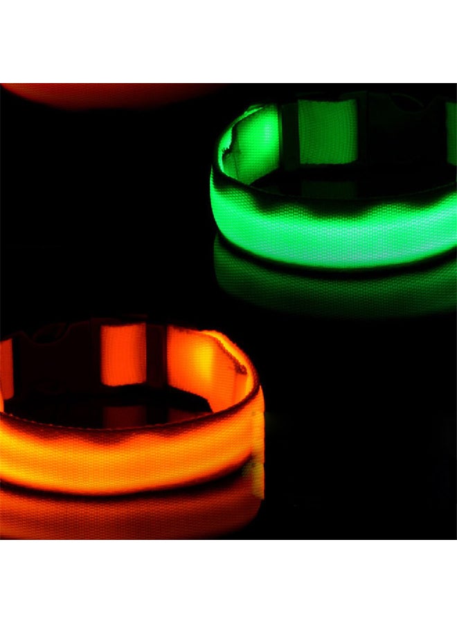 LED Light Anti-Lost Pet Collar Green 1x1x1cm