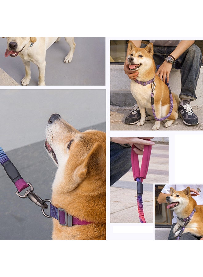 Dog Training Leash with Comfortable Padded Handle Multicolor 30x7x5cm