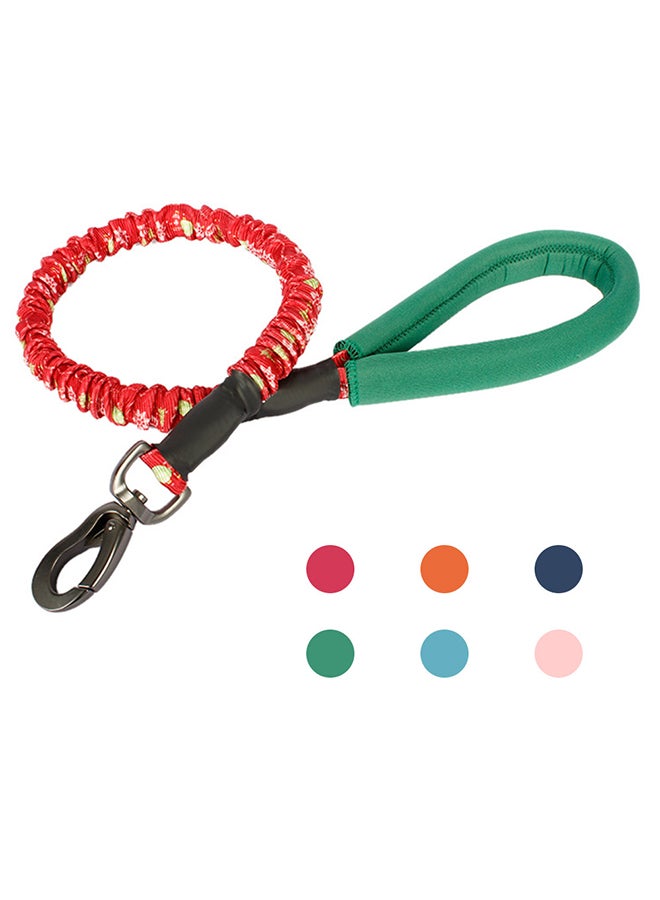 Dog Training Leash with Comfortable Padded Handle Multicolor 30x7x5cm