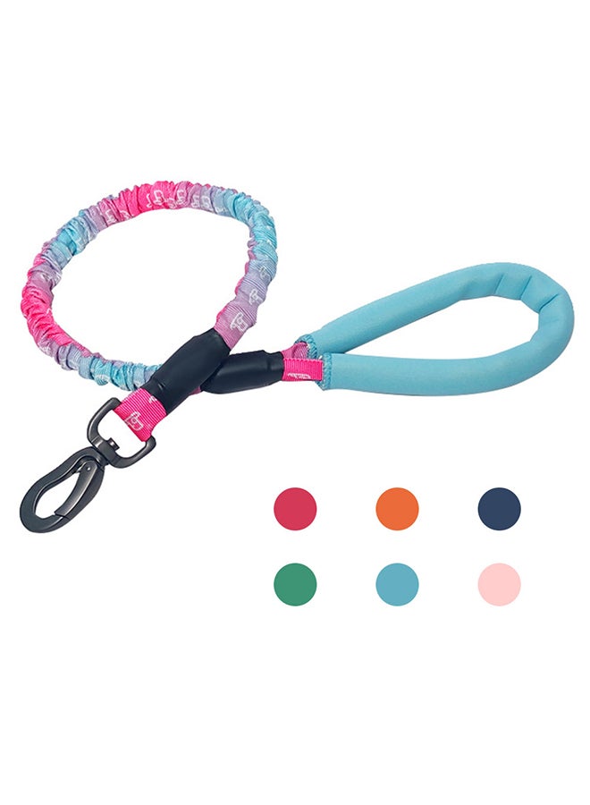 Dog Training Leash with Comfortable Padded Handle Light Blue 30x7x5cm